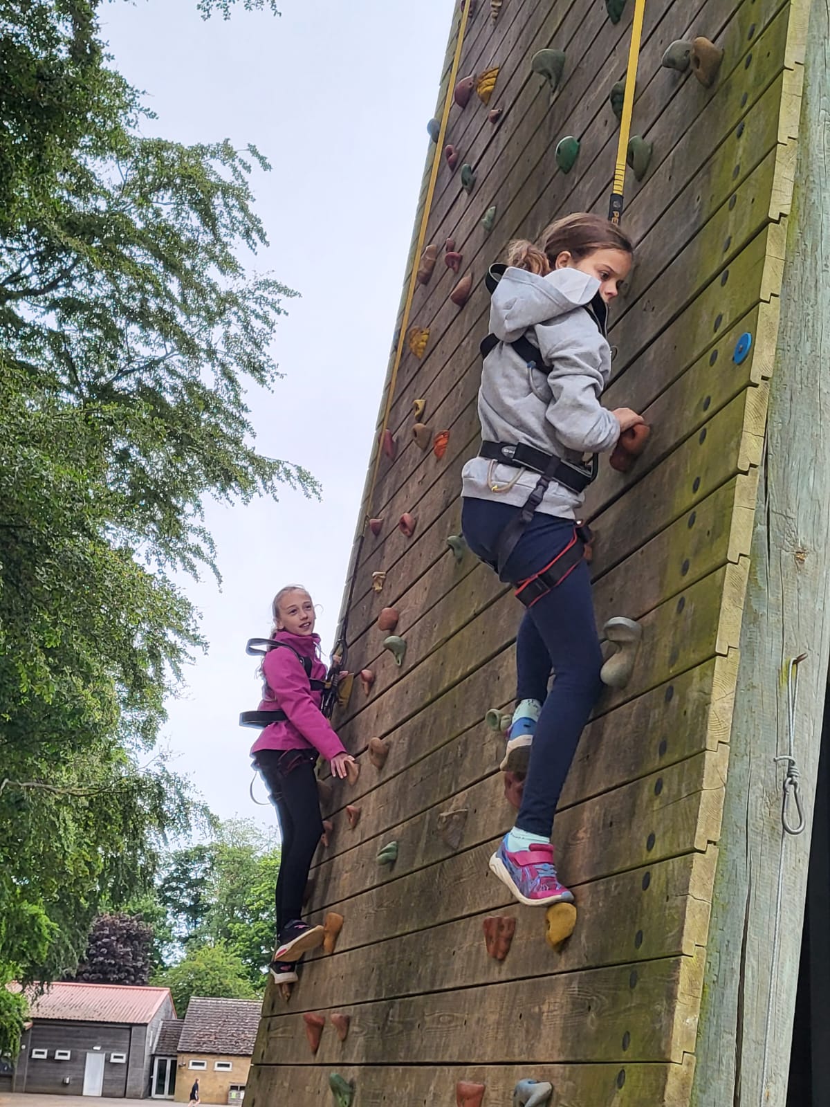 Pupils climbing rock wall